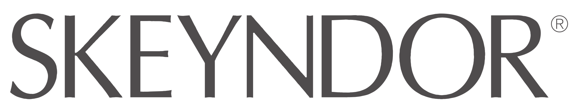 Skeyndor_logo